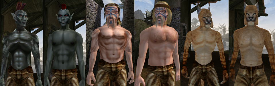 The Elder Scrolls V: Skyrim: Create Player Characters 
